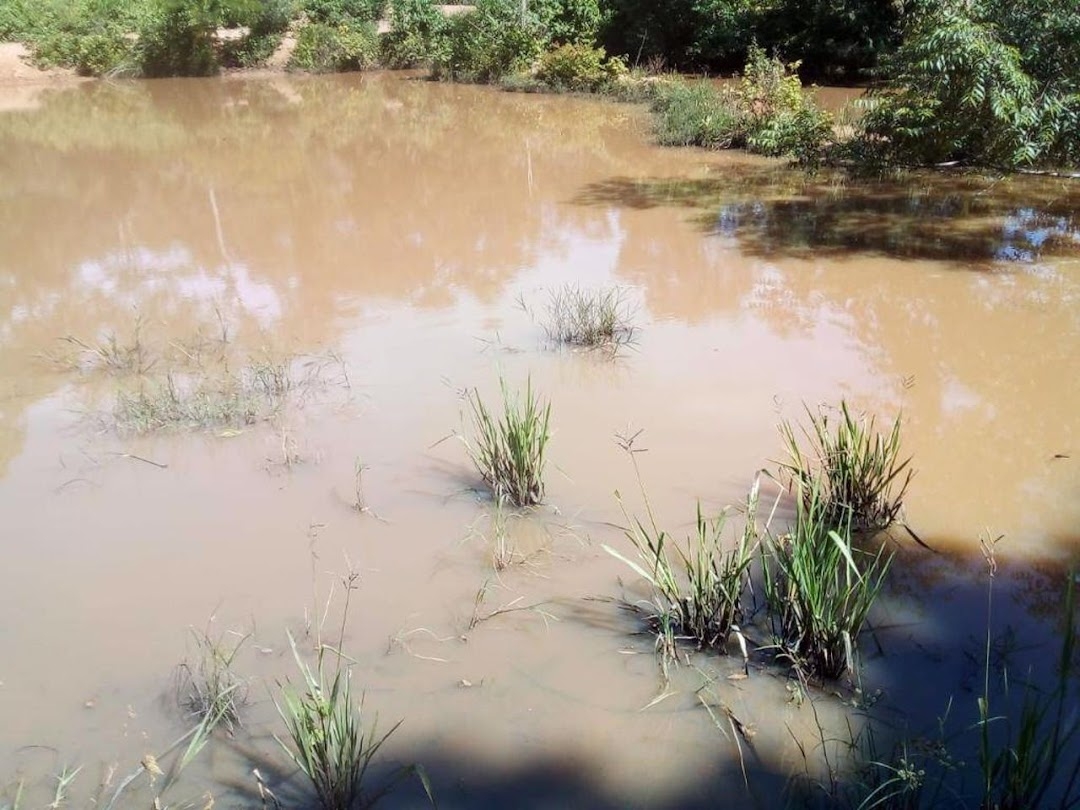 Fazenda-Sítio-Chácara, 200 m² - Foto 16