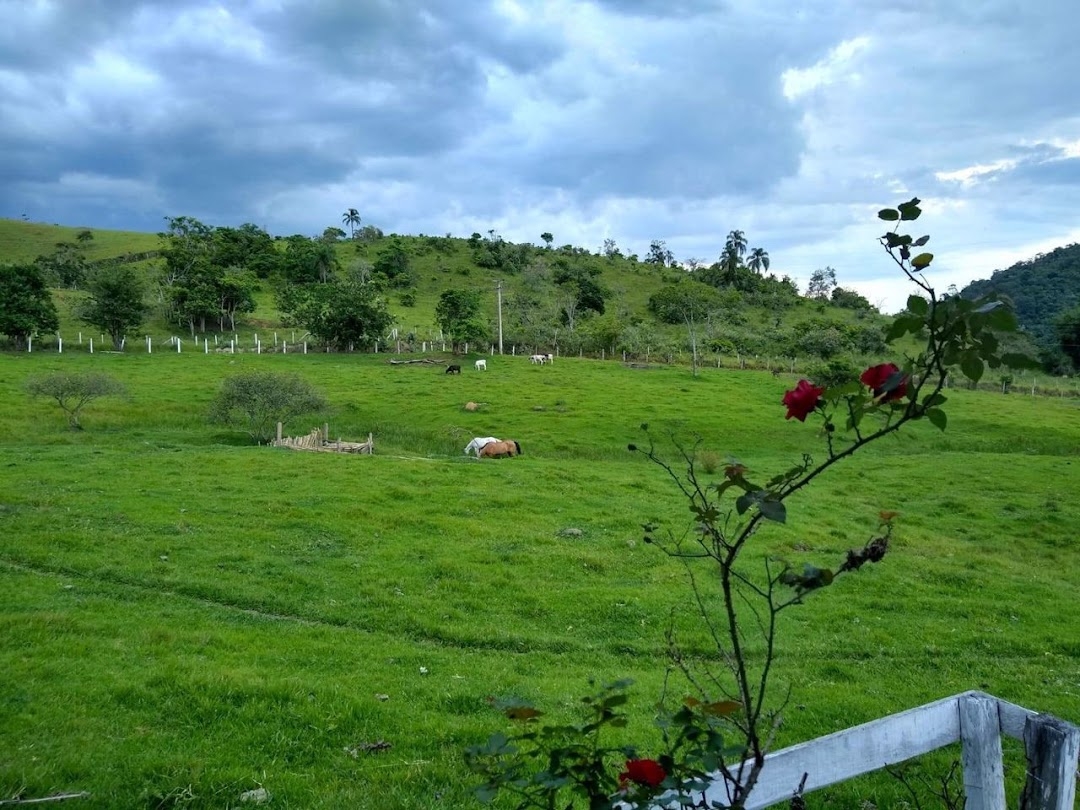 Sítio, 3 quartos, 200 m² - Foto 1