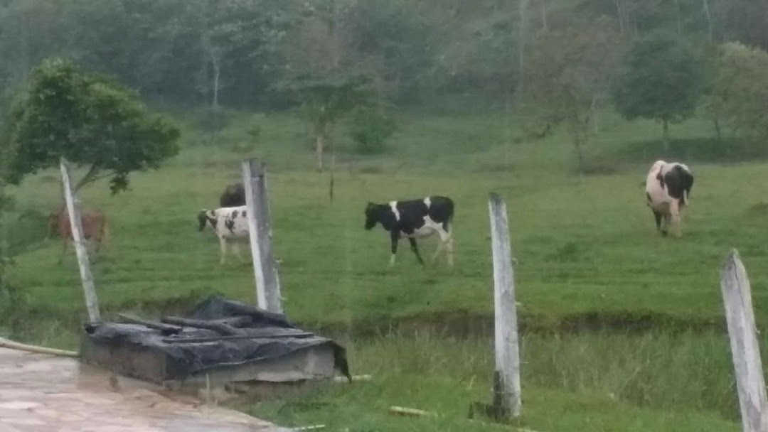 Sítio, 3 quartos, 200 m² - Foto 4