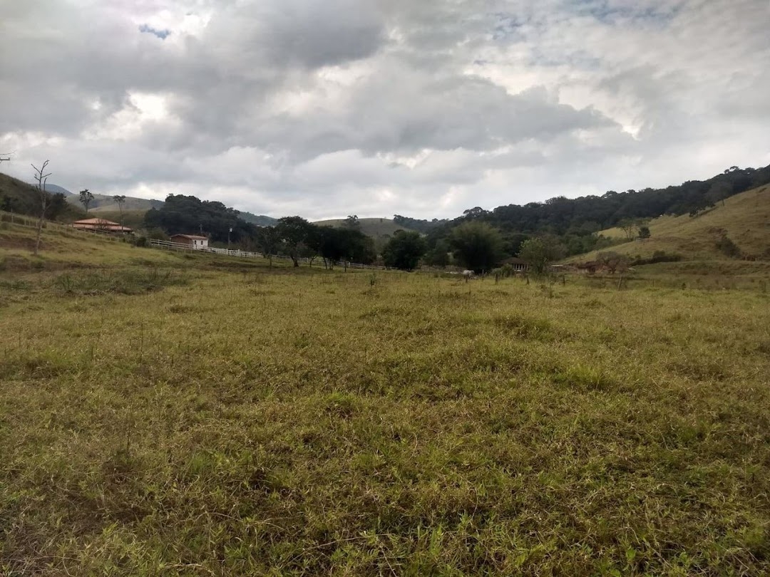 Sítio, 4 quartos, 41 hectares - Foto 6