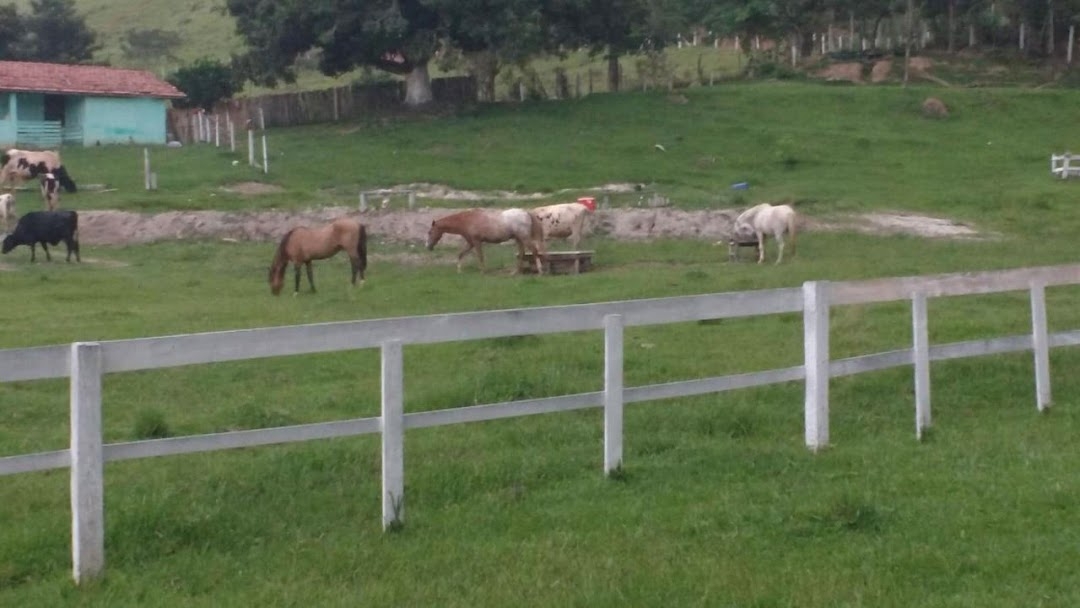 Sítio, 3 quartos, 200 m² - Foto 24