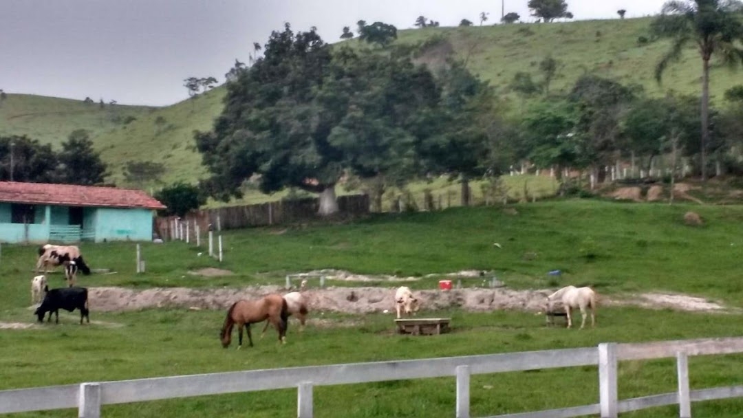 Sítio, 3 quartos, 200 m² - Foto 23