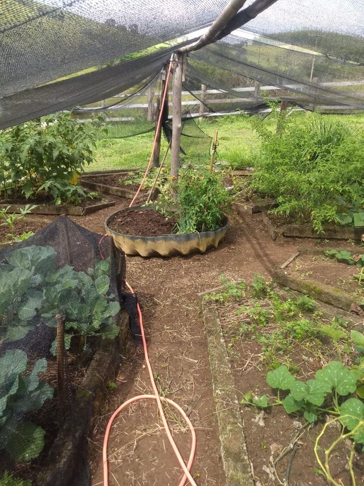 Sítio, 4 quartos, 41 hectares - Foto 4