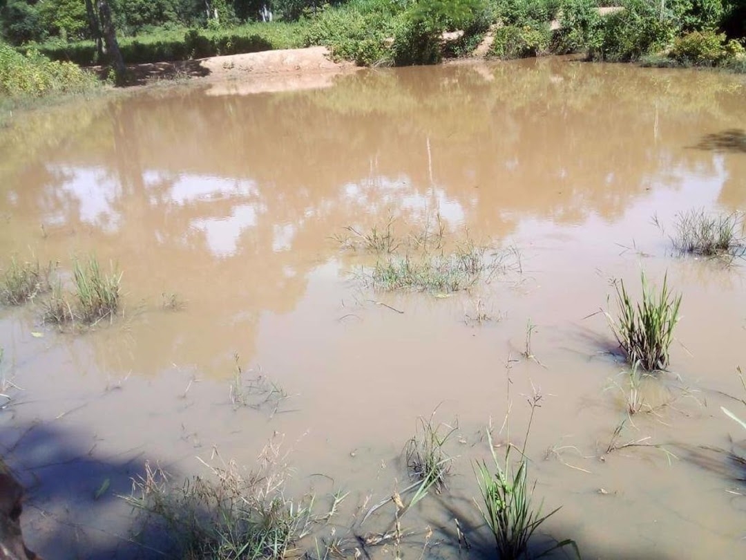 Fazenda-Sítio-Chácara, 200 m² - Foto 12