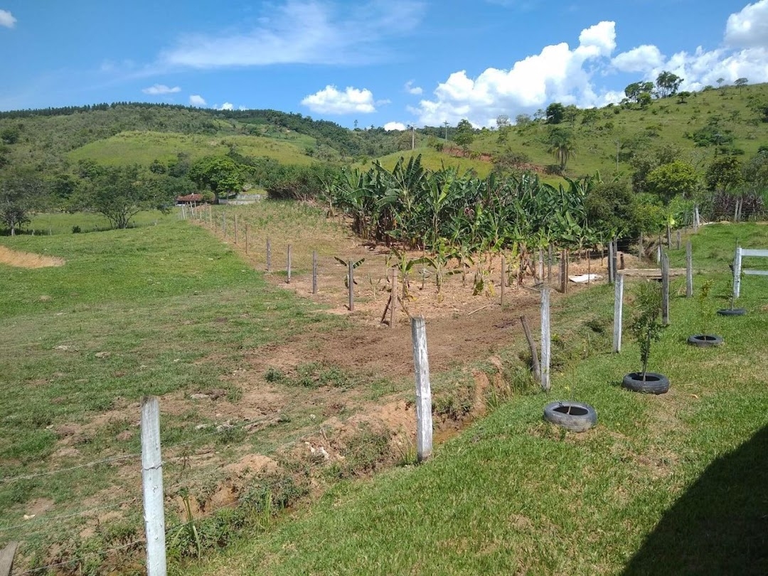 Sítio, 3 quartos, 200 m² - Foto 22