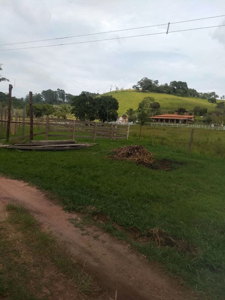 Sítio, 4 quartos, 41 hectares - Foto 3