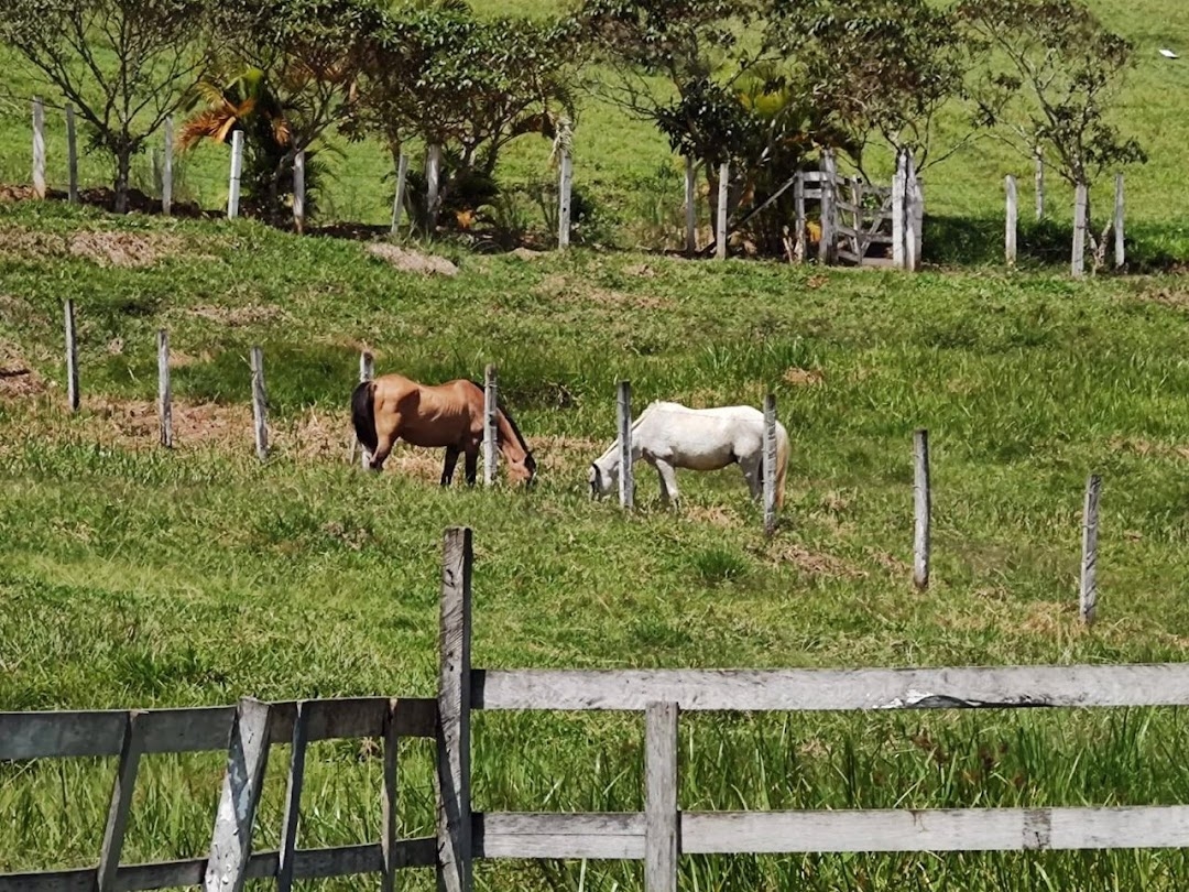 Sítio, 3 quartos, 200 m² - Foto 19