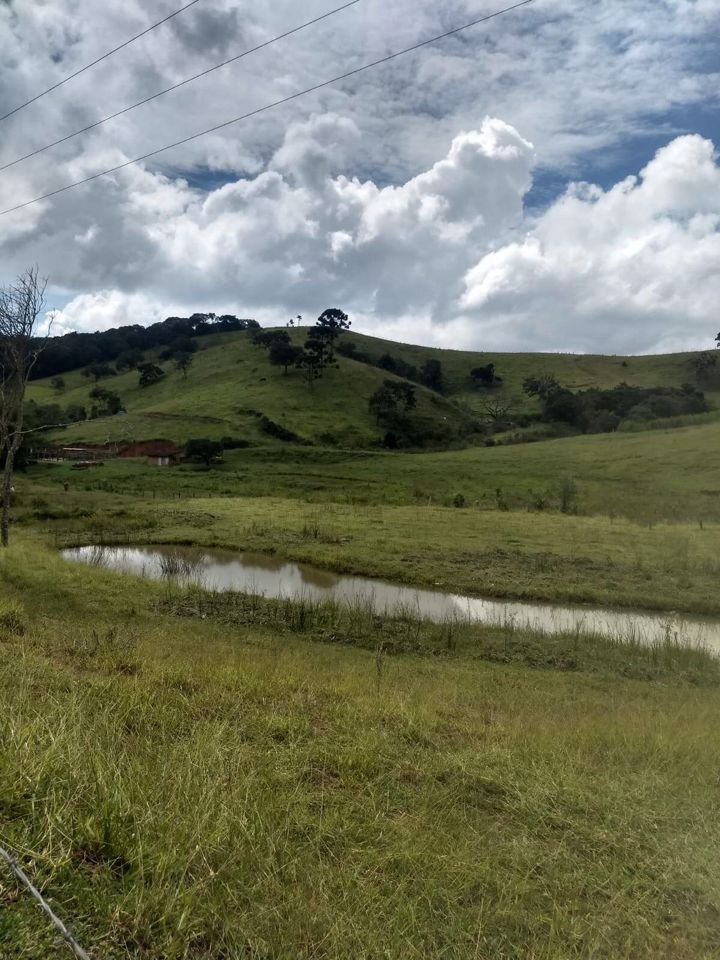 Sítio, 4 quartos, 41 hectares - Foto 5