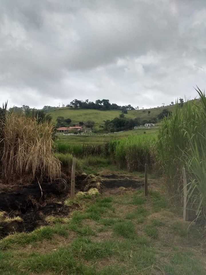 Sítio, 4 quartos, 41 hectares - Foto 2