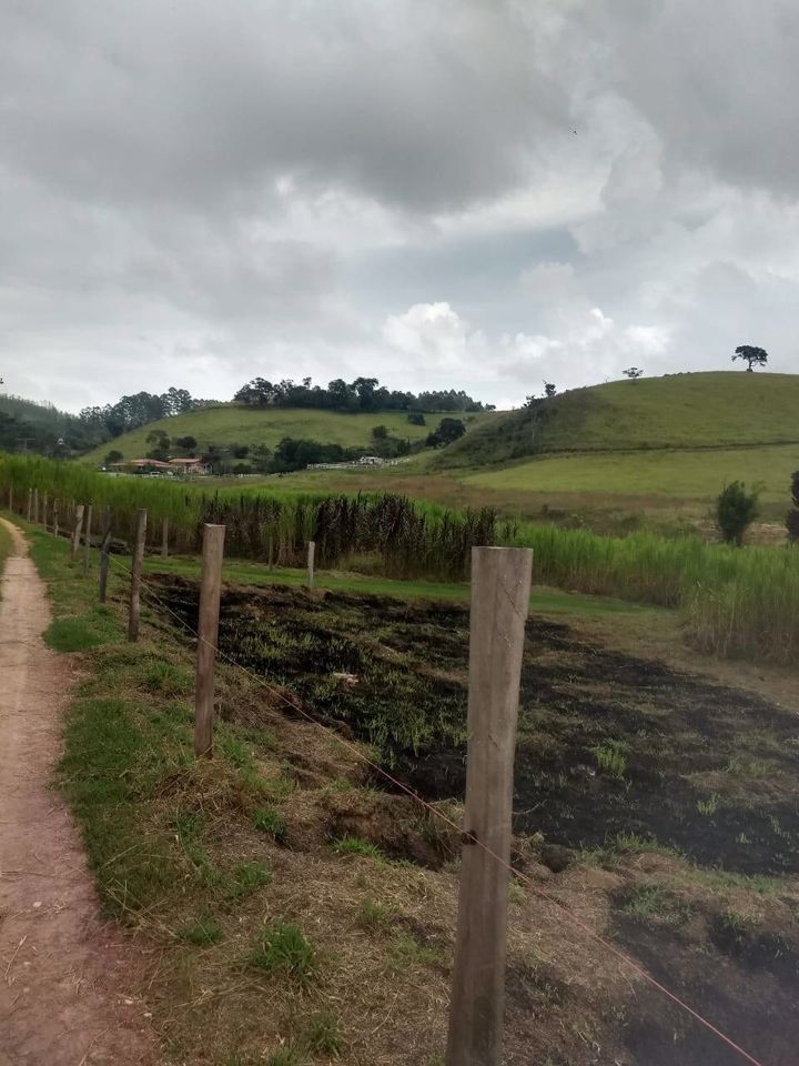 Sítio, 4 quartos, 41 hectares - Foto 17