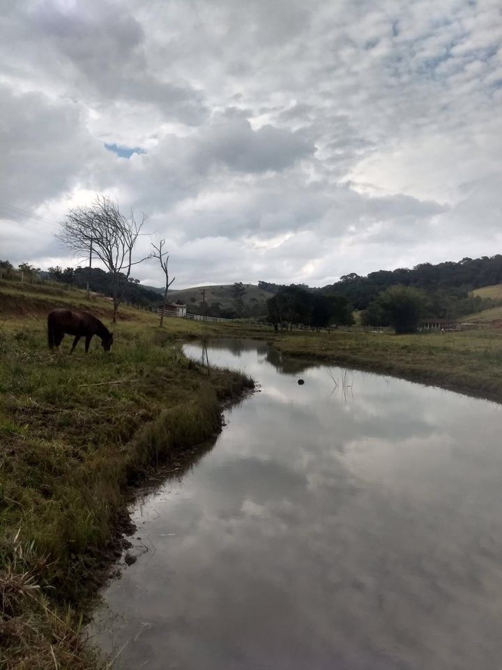 Sítio, 4 quartos, 41 hectares - Foto 7