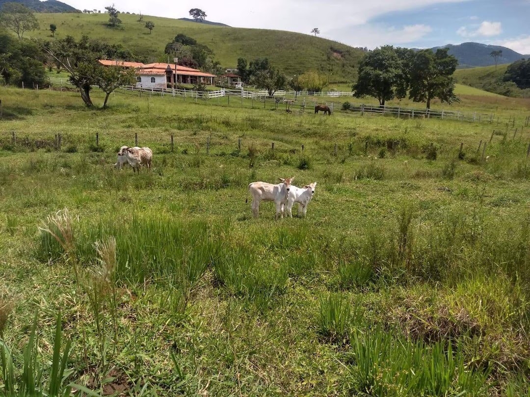 Sítio, 4 quartos, 41 hectares - Foto 12