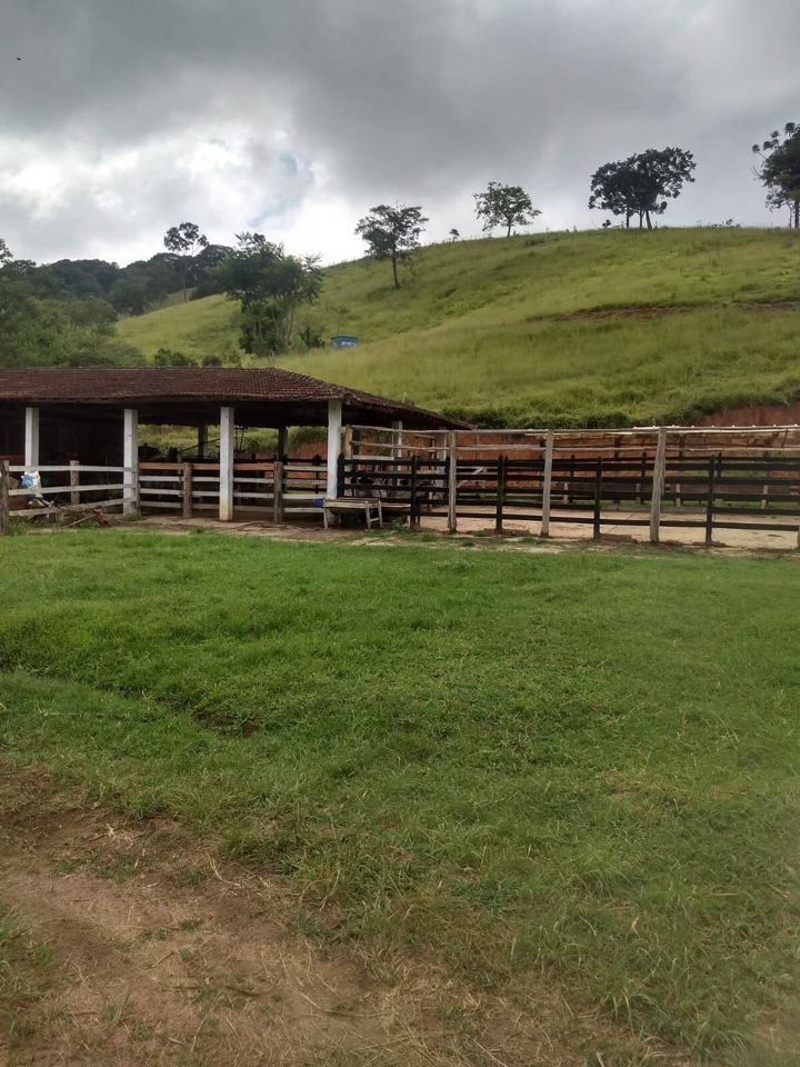 Sítio, 4 quartos, 41 hectares - Foto 9