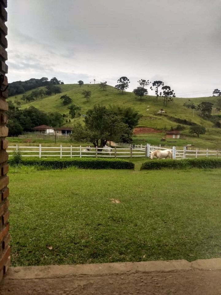 Sítio, 4 quartos, 41 hectares - Foto 16