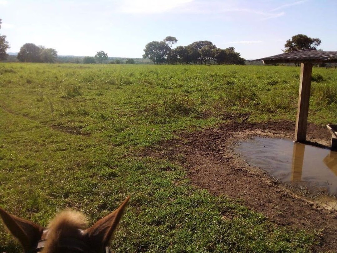 Fazenda-Sítio-Chácara, 200 m² - Foto 39