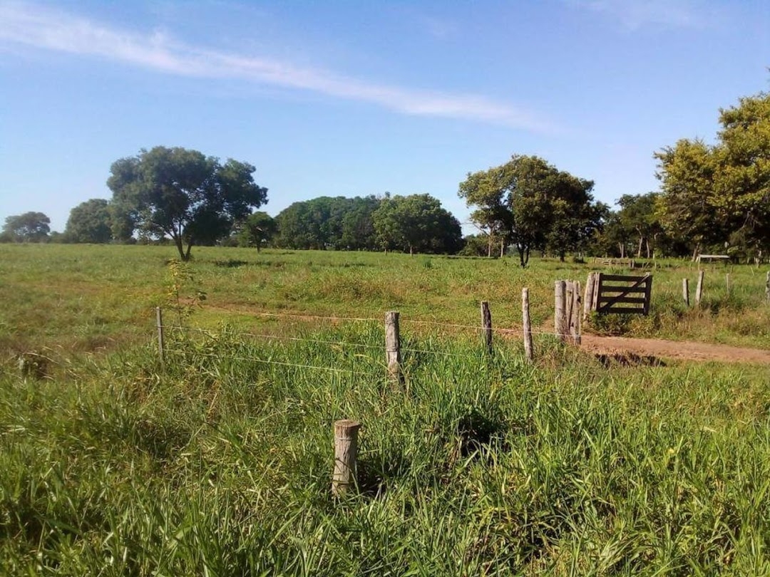 Fazenda-Sítio-Chácara, 200 m² - Foto 38