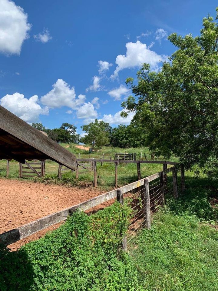 Fazenda-Sítio-Chácara, 200 m² - Foto 43