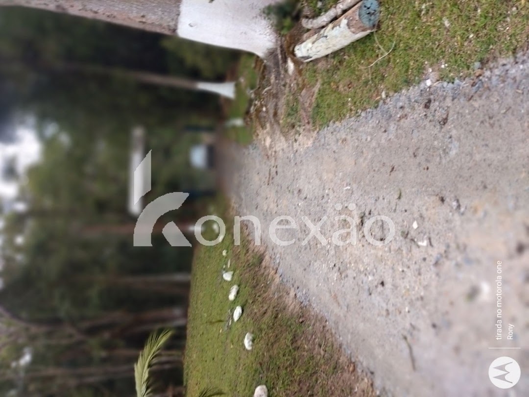 Sítio, 3 quartos, 150 m² - Foto 3