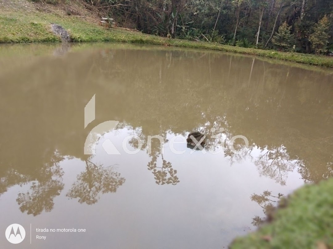 Sítio, 3 quartos, 150 m² - Foto 4