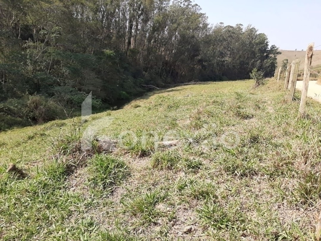 Sítio, 3 quartos, 200 m² - Foto 4