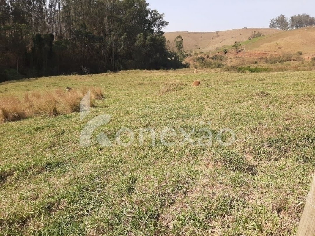 Sítio, 3 quartos, 200 m² - Foto 5