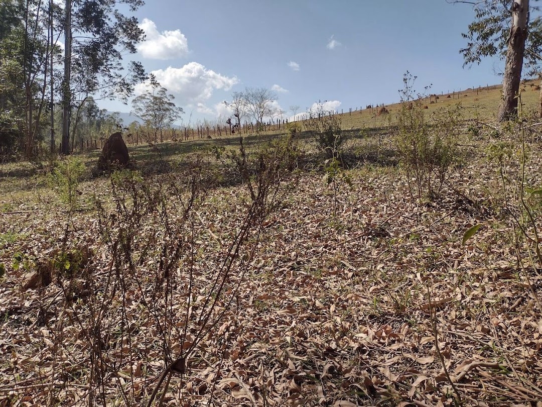 Sítio em São Luiz do Paraitinga/São Paulo — Ref DKG71N — Imagem 6