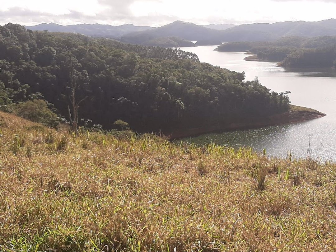 Sítio, 1 quarto, 90 m² - Foto 4