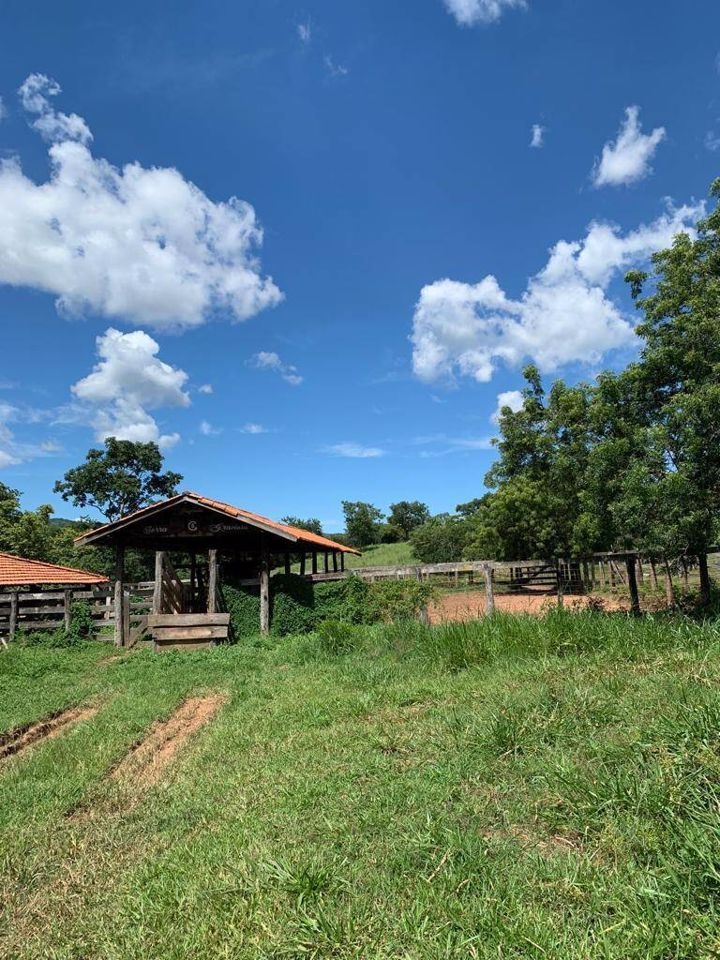 Fazenda-Sítio-Chácara, 200 m² - Foto 41