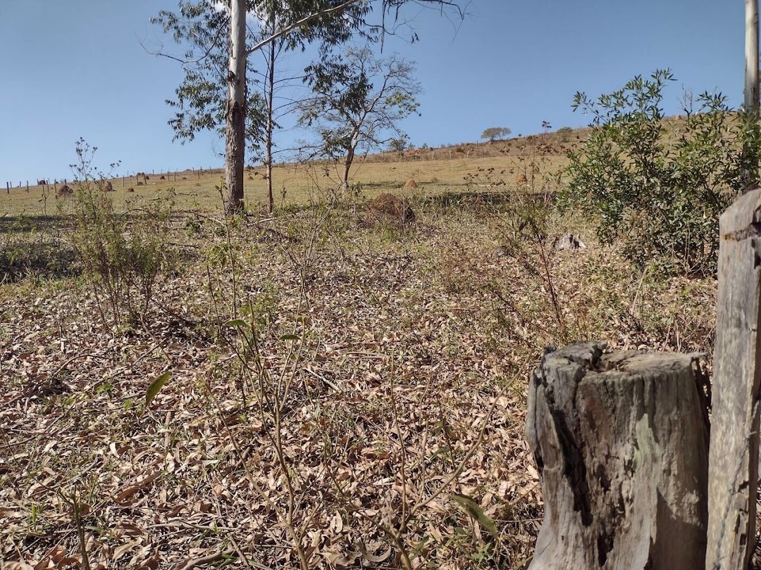 Sítio, 2 quartos, 9680 m² - Foto 2