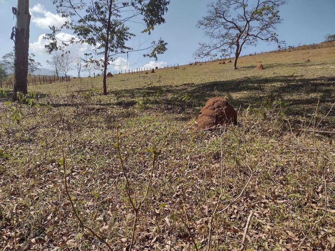 Sítio em São Luiz do Paraitinga/São Paulo — Ref DKG71N — Imagem 5