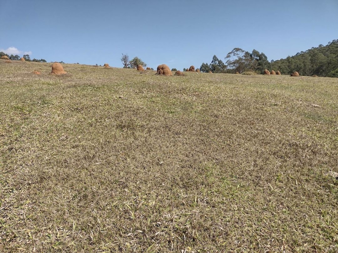 Sítio, 2 quartos, 9680 m² - Foto 3