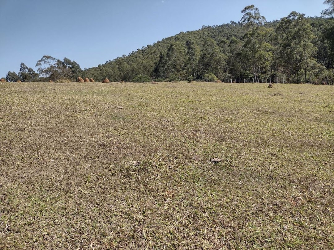 Sítio, 2 quartos, 9680 m² - Foto 1