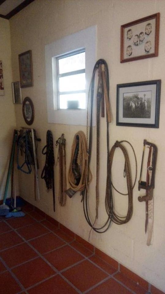 Sítio, 3 quartos, 22 hectares - Foto 10