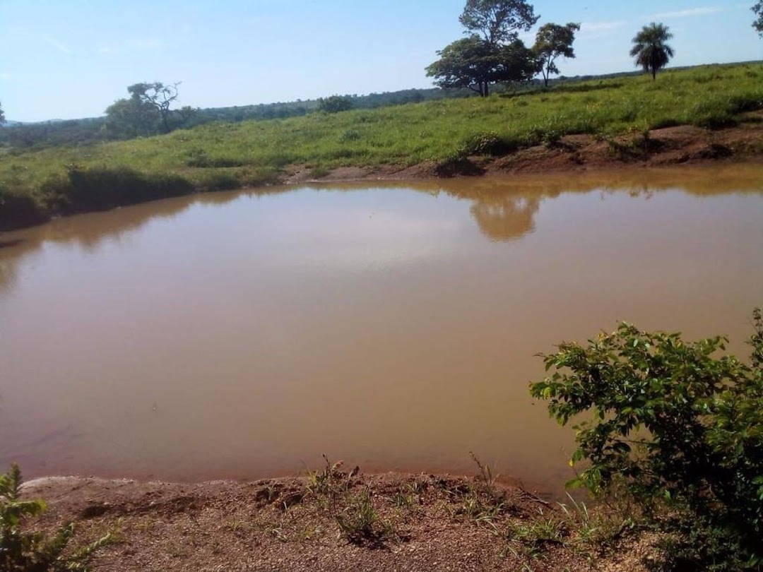 Fazenda-Sítio-Chácara, 200 m² - Foto 32