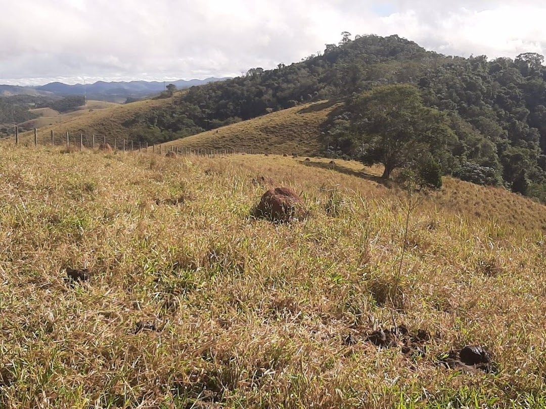 Sítio em Paraibuna/São Paulo — Ref DCLUI6 — Imagem 11