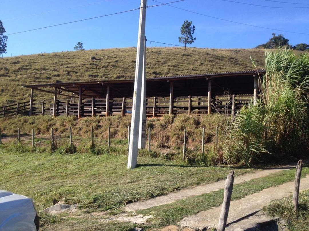 Sítio, 3 quartos, 22 hectares - Foto 4