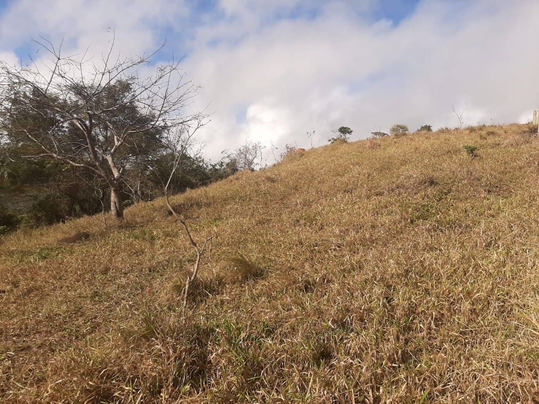 Sítio em Paraibuna/São Paulo — Ref DCLUI6 — Imagem 12