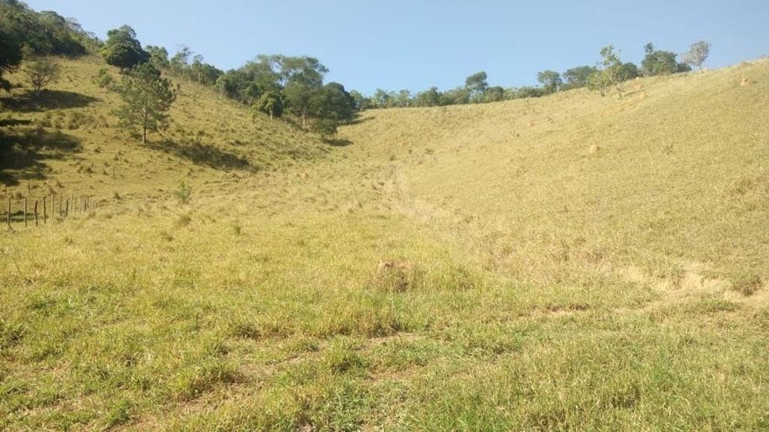 Sítio, 3 quartos, 22 hectares - Foto 16