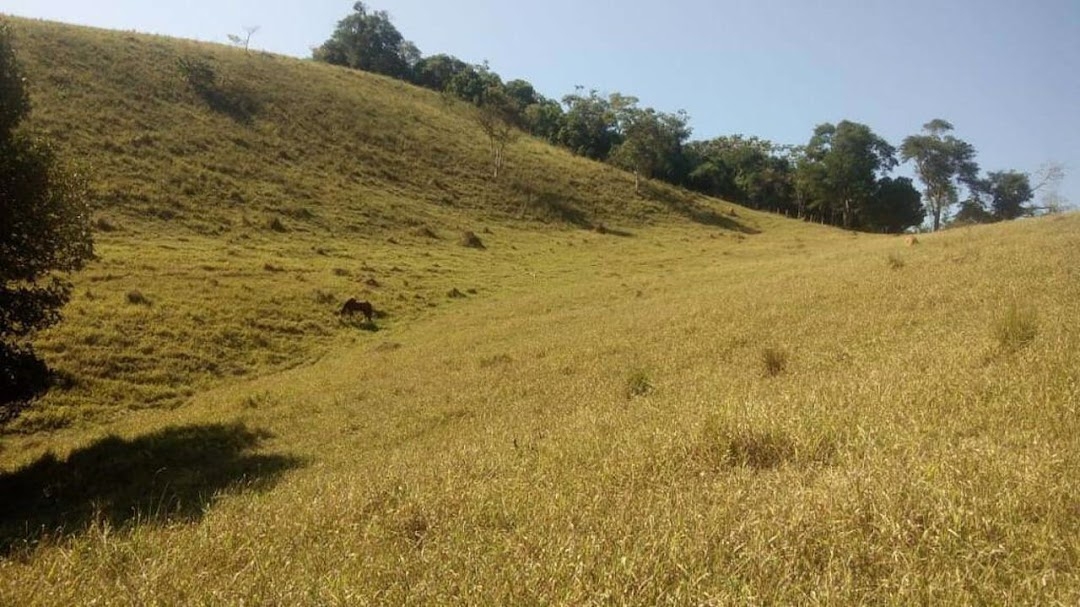 Sítio, 3 quartos, 22 hectares - Foto 14