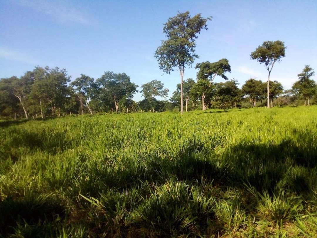 Fazenda-Sítio-Chácara, 200 m² - Foto 36