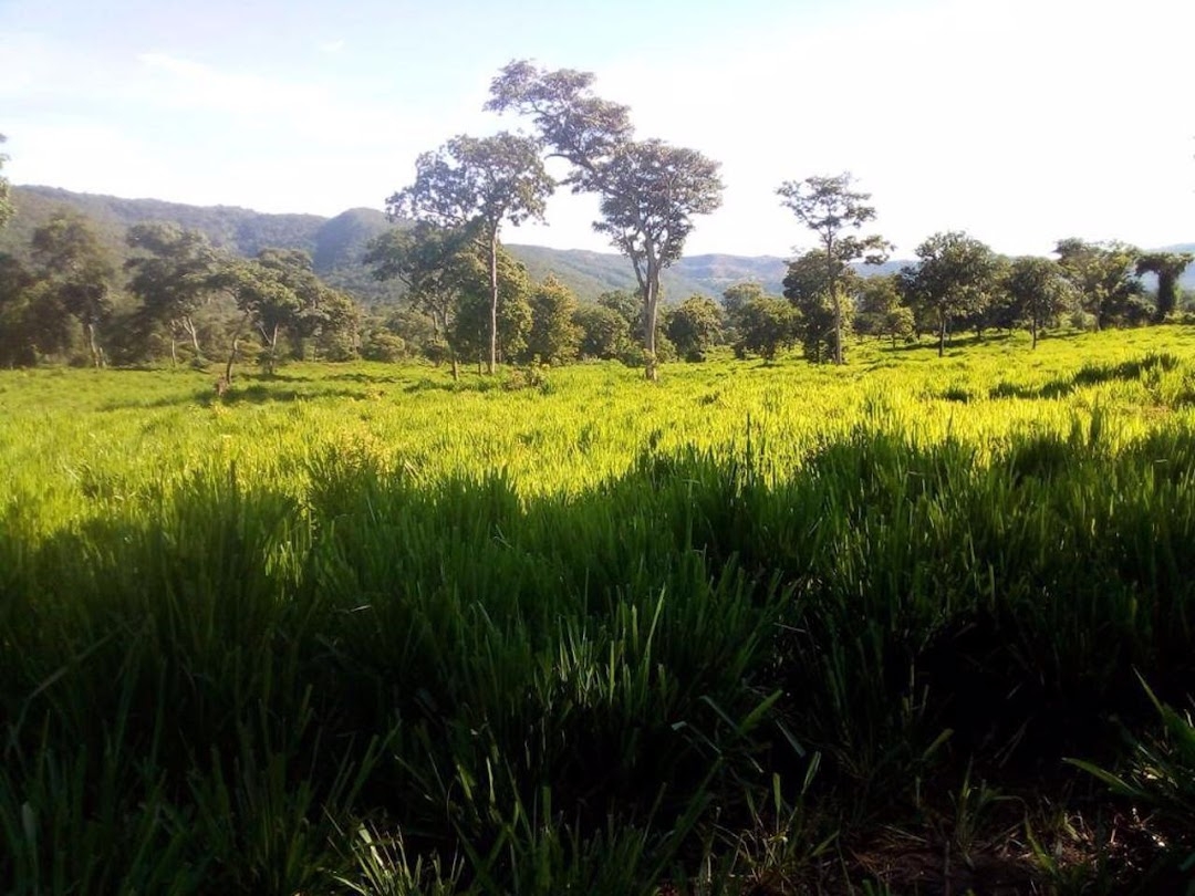 Fazenda-Sítio-Chácara, 200 m² - Foto 34