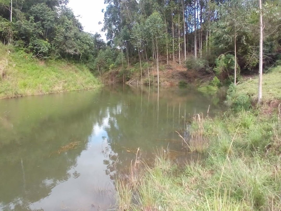 Chácara, 2 quartos, 200 m² - Foto 3