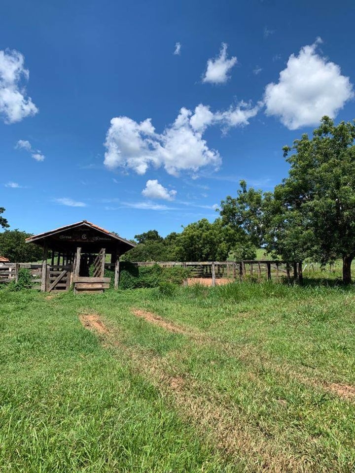 Fazenda-Sítio-Chácara, 200 m² - Foto 45