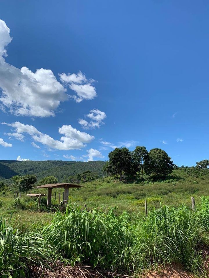 Fazenda-Sítio-Chácara, 200 m² - Foto 67