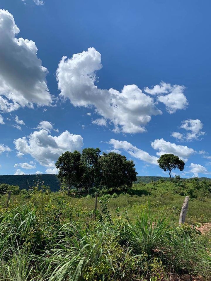 Fazenda-Sítio-Chácara, 200 m² - Foto 70