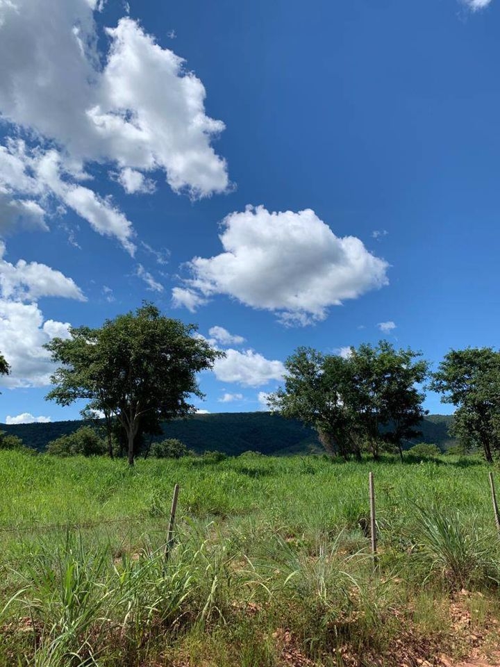 Fazenda-Sítio-Chácara, 200 m² - Foto 63