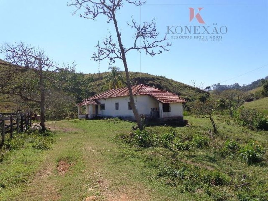 Fazenda, 305 hectares - Foto 2