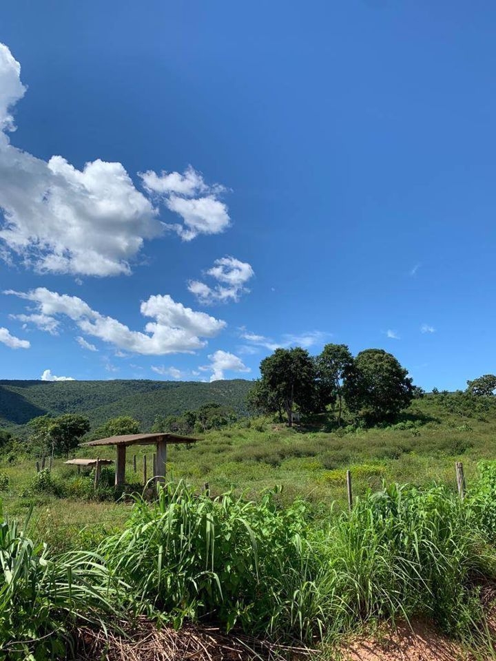 Fazenda-Sítio-Chácara, 200 m² - Foto 68