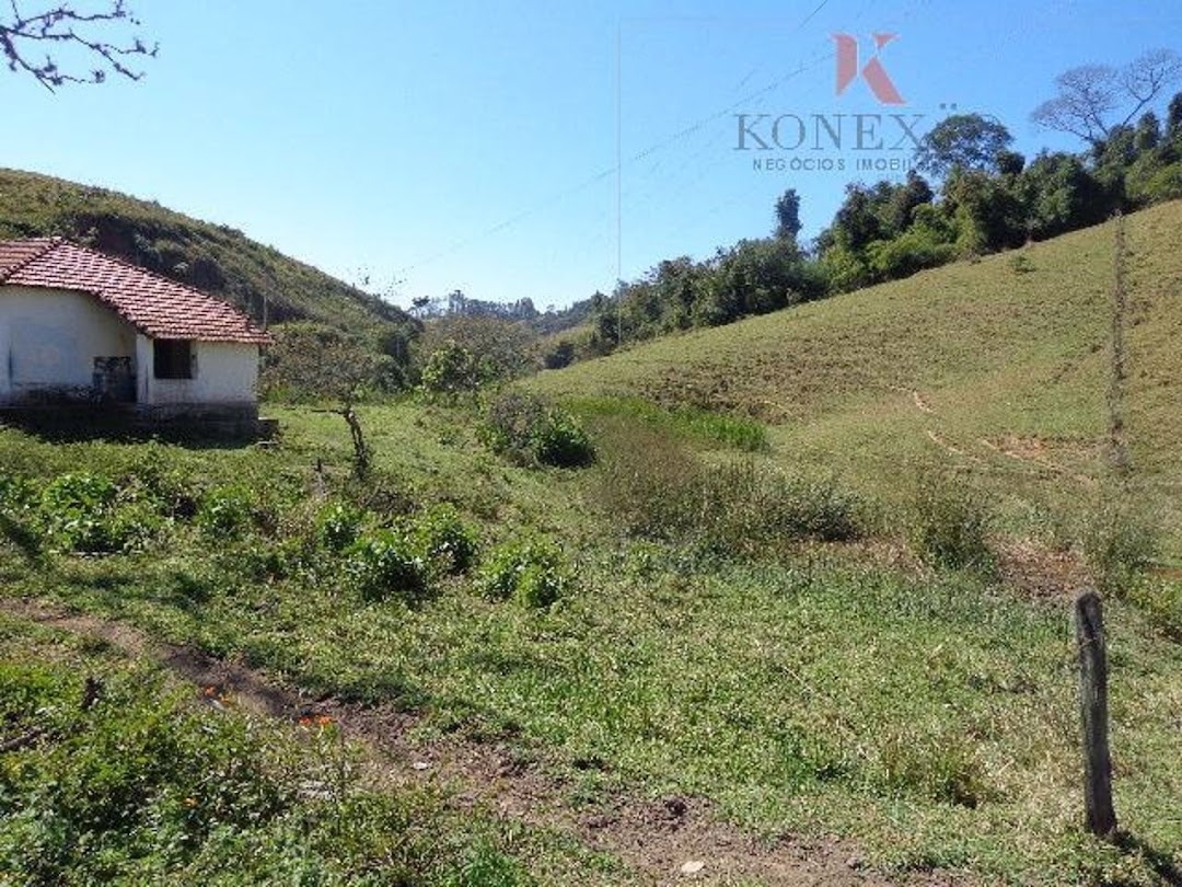 Fazenda, 305 hectares - Foto 5