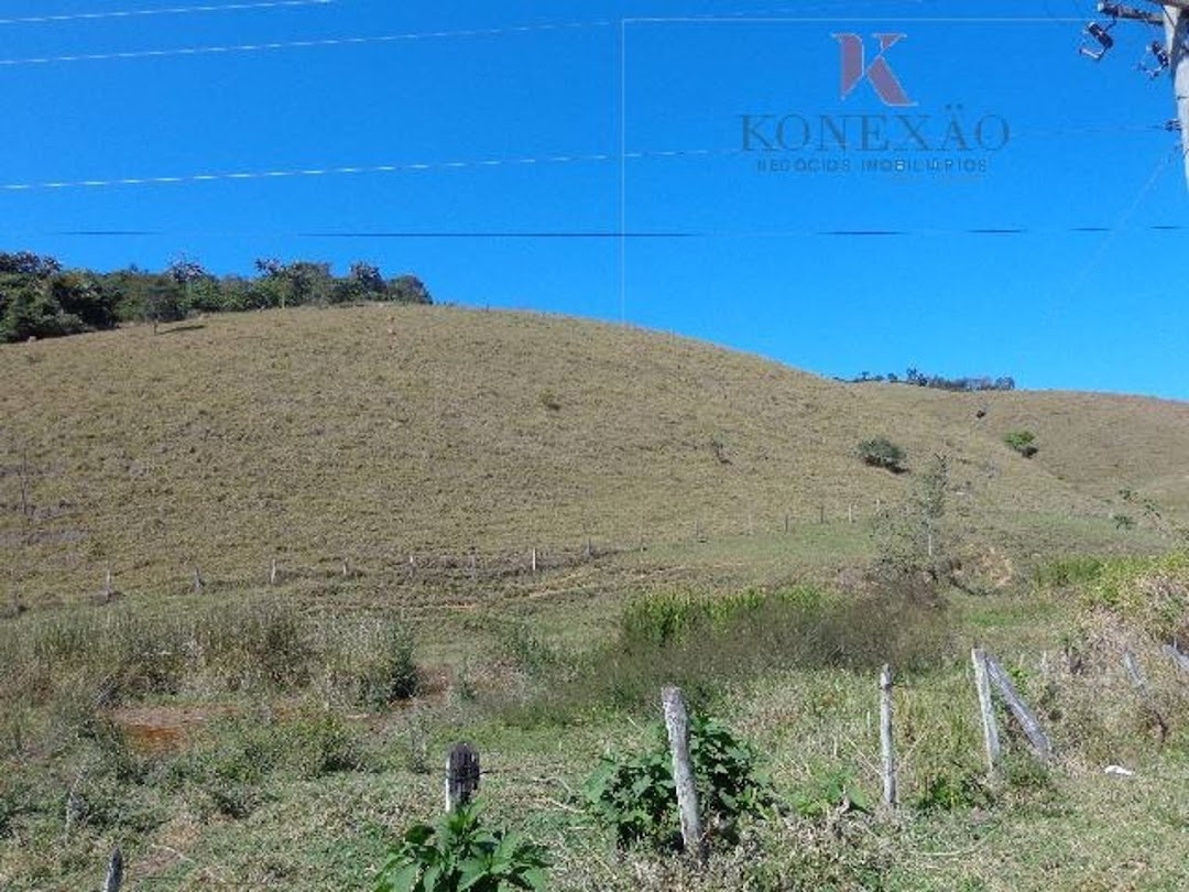 Fazenda, 305 hectares - Foto 4